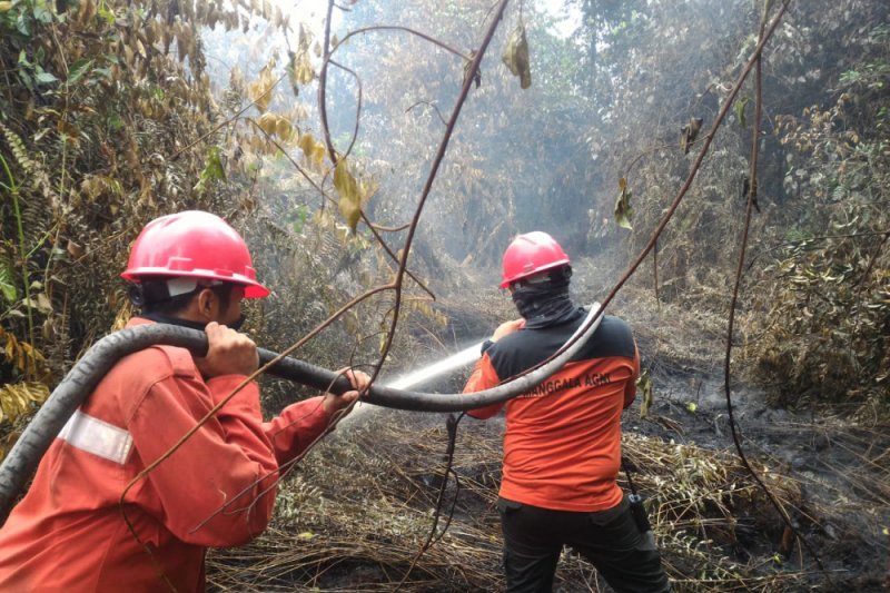 Manggala Agni Berjibaku Lawan Karhutla Rohil