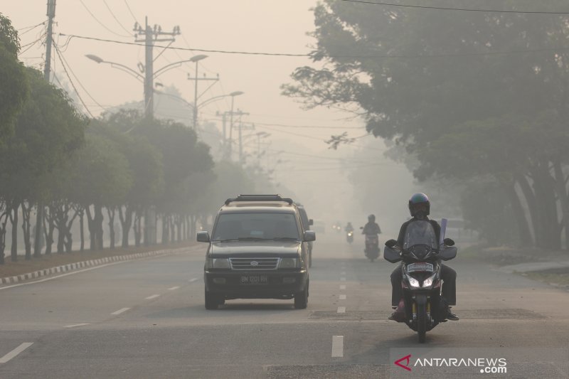 Kabut asap karhutla di Dumai