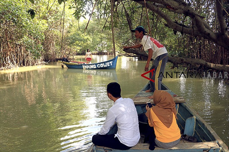 Objek Wisata Mangrove Sekar Bahari Diresmikan Antara News