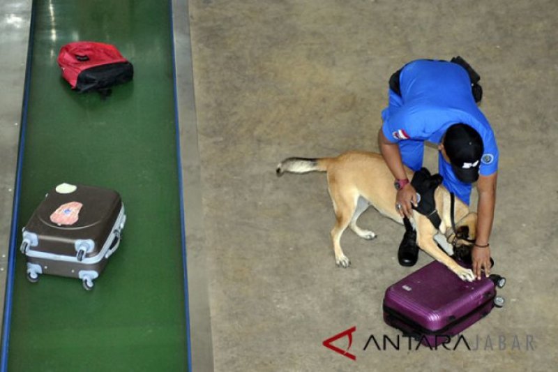 BNNP DIY tempatkan anjing pelacak di Bandara Adisutjipto