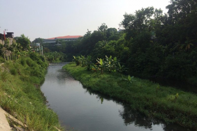 Bantaran Sungai Code dipenuhi sedimen