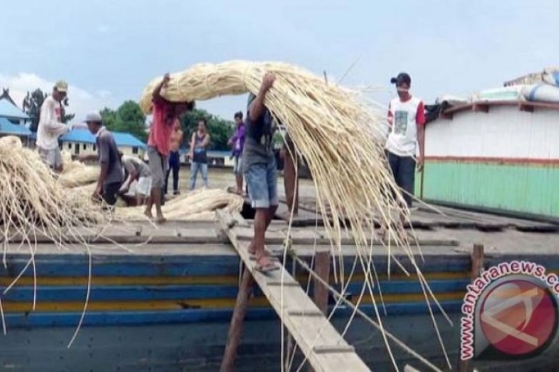 Pemerintah diminta buat terobosan pasarkan rotan dan karet masyarakat