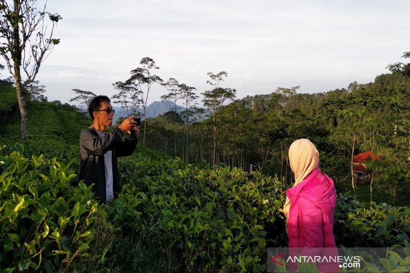 Pokdarwis Dewa Lingga tawarkan inovasi paket wisata