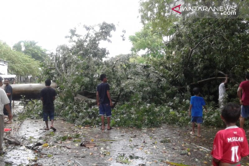 PLN pulihkan 30 penyulang yang terganggu angin kencang