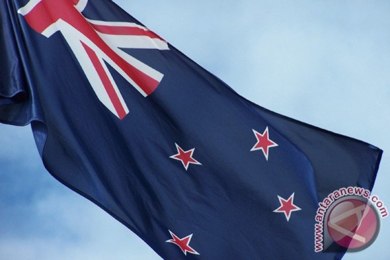 Selandia Baru perluas kekuasaan untuk hadang investasi asing
