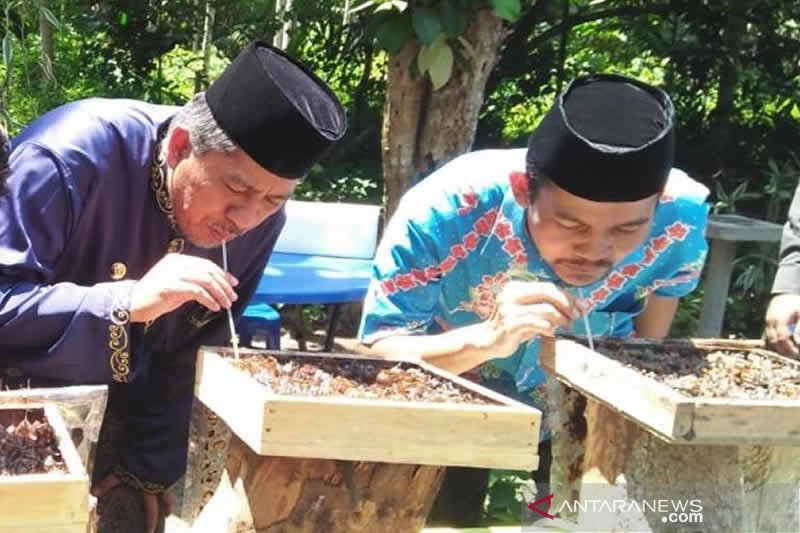 Plt Bupati Siak : Madu Kelulut Jadi Mata Pencaharian Baru Warga Siak