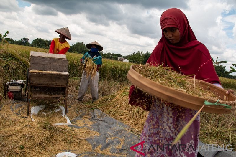 BPS : NTP Sulsel naik 0,25 persen pada November 2019