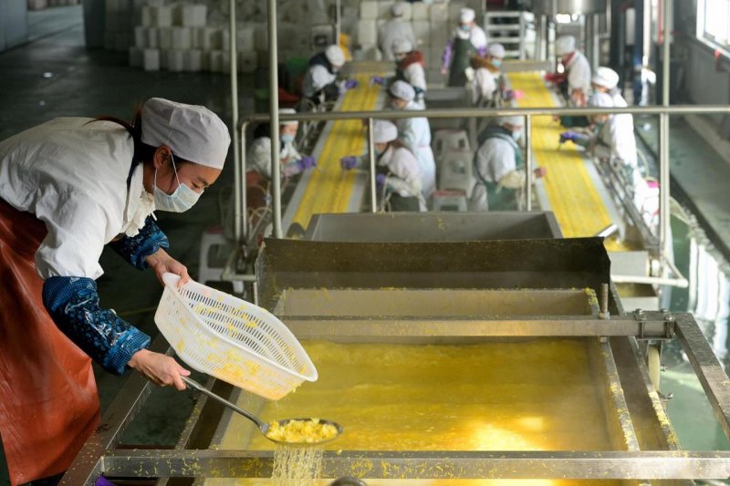 Industri Makanan dan Minuman China