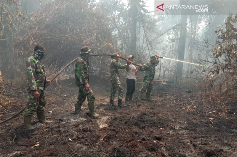 Vidio - Ratusan hektare lahan perkebunan warga di Bengkalis ludes akibat Karhutla
