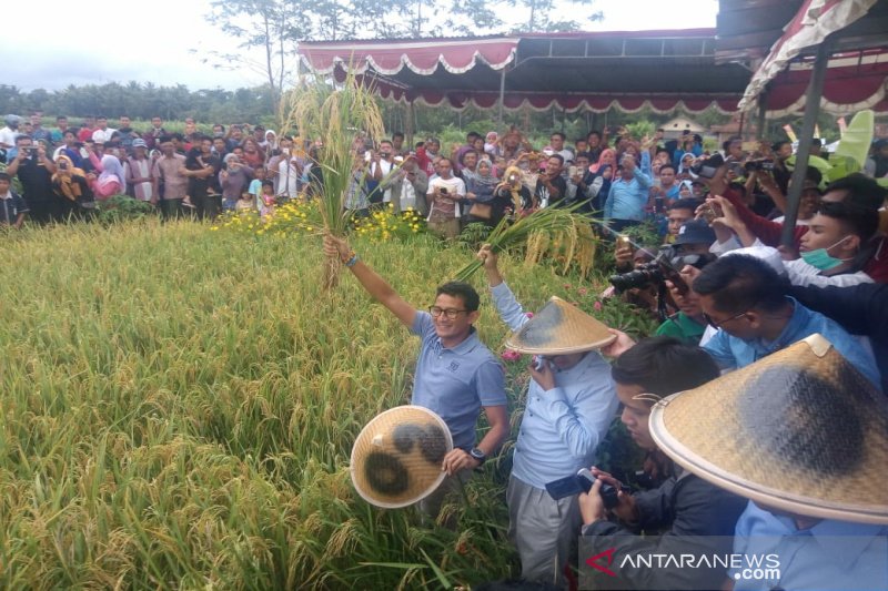 Perludem usulkan Pilkada DKI Jakarta tahun 2022