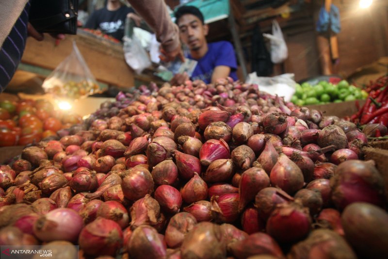 Bawang merah penyumbang terbesar inflasi Bukittinggi