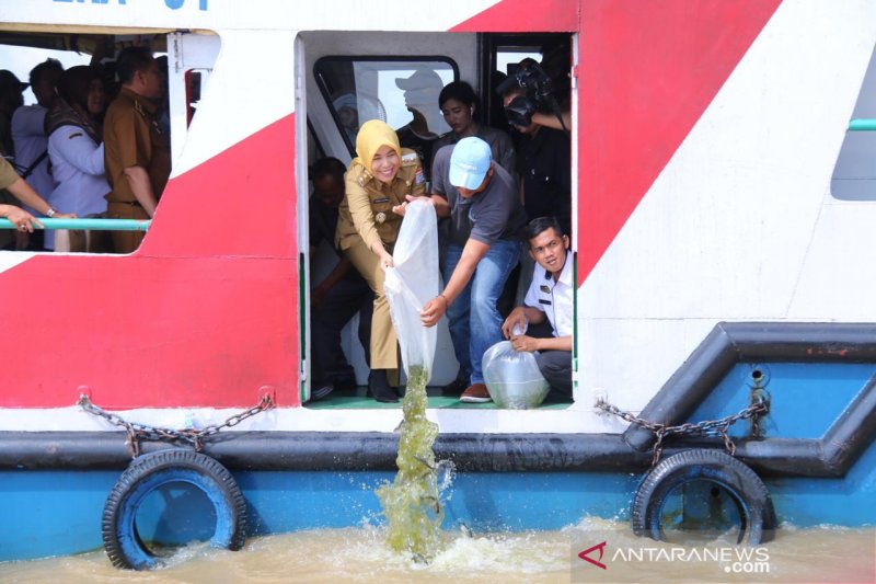 Dinas Perikanan Sumsel dorong pengembangan budi daya ikan