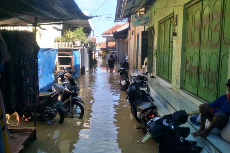 Air laut pasang memperparah banjir di Cirebon
