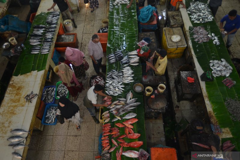 Angka konsumsi ikan nasional 2019