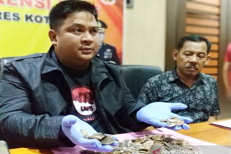 Polres Kotim tangkap tersangka penjual sisik trenggiling