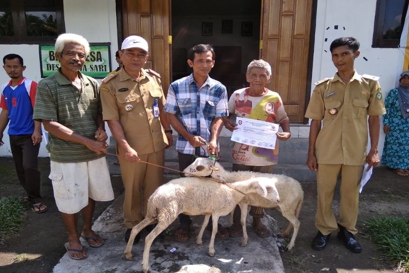 Desa pesisir Kotim gulirkan bantuan kambing tingkatkan kesejahteraan masyarakat