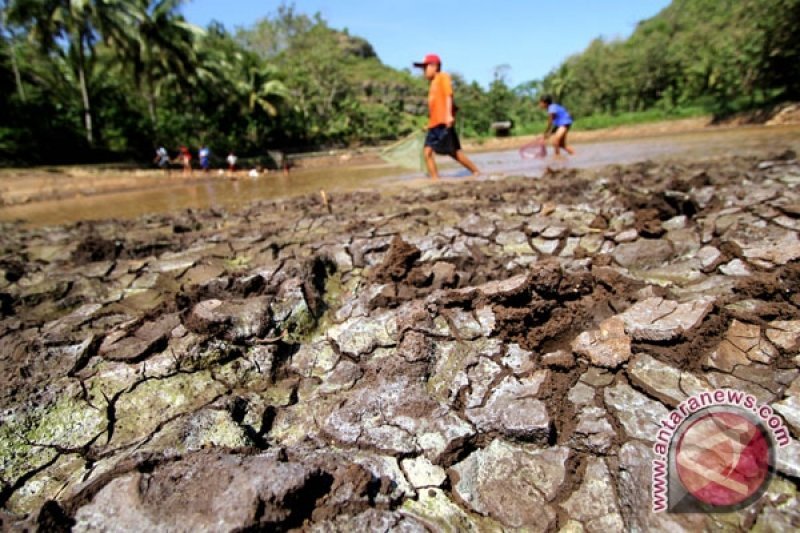 BMKG: Gunung Kidul alami hari tanpa hujan cukup lama