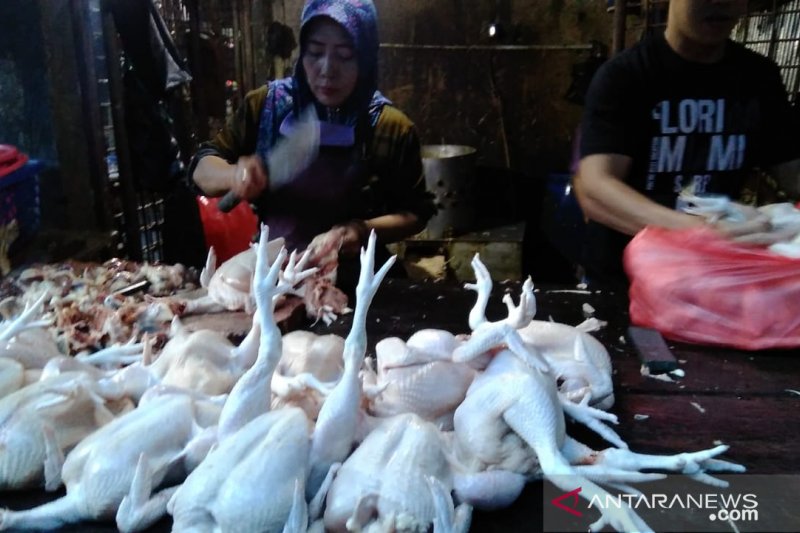 Harga ayam potong bergerak naik jelang Lebaran
