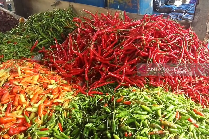 Harga cabai rawit di Bandarlampung tembus Rp80.000/kg