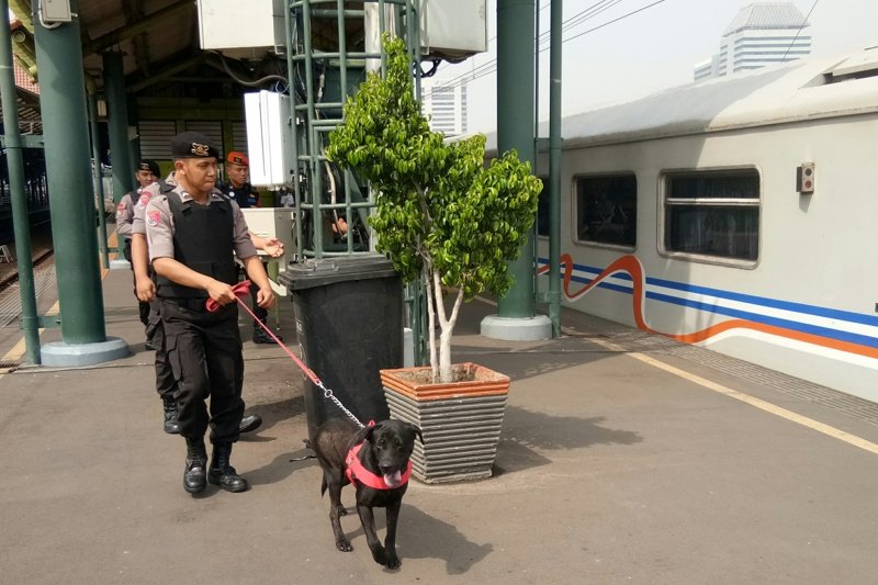 Pmj Kerahkan Anjing Pelacak Sisir Stasiun Gambir Antara News