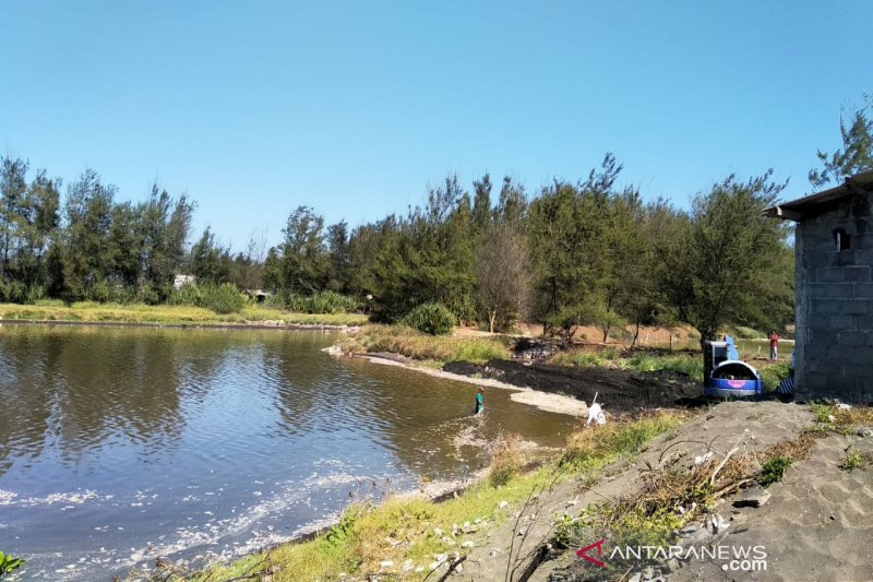 Bandeng Jaya diminta menghentikan penebaran benih ikan di Laguna Trisik