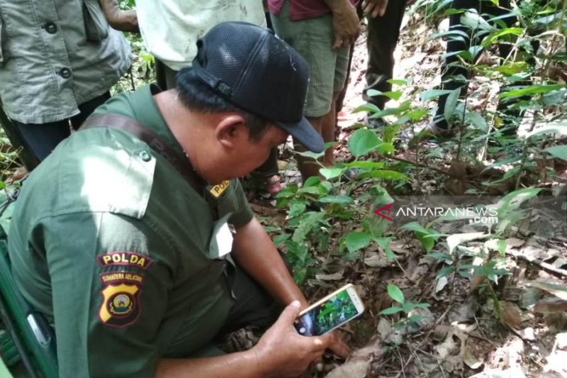 Meyakini ada binatang buas, warga dihantui ketakutan