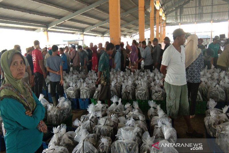 Hingga Mei, TPI Pekalongan raih pendapatan Rp2,35 miliar