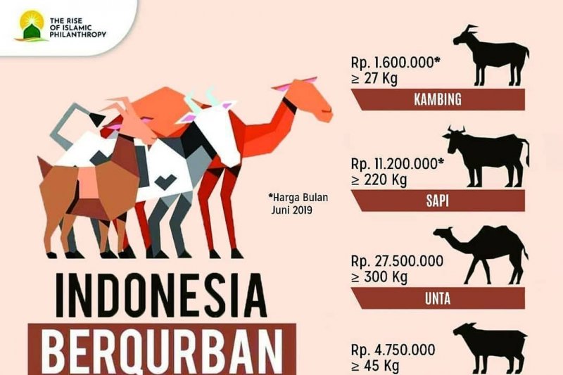 Global Qurban Dan Act Lampung Sosialisakan Harga Hewan Kurban