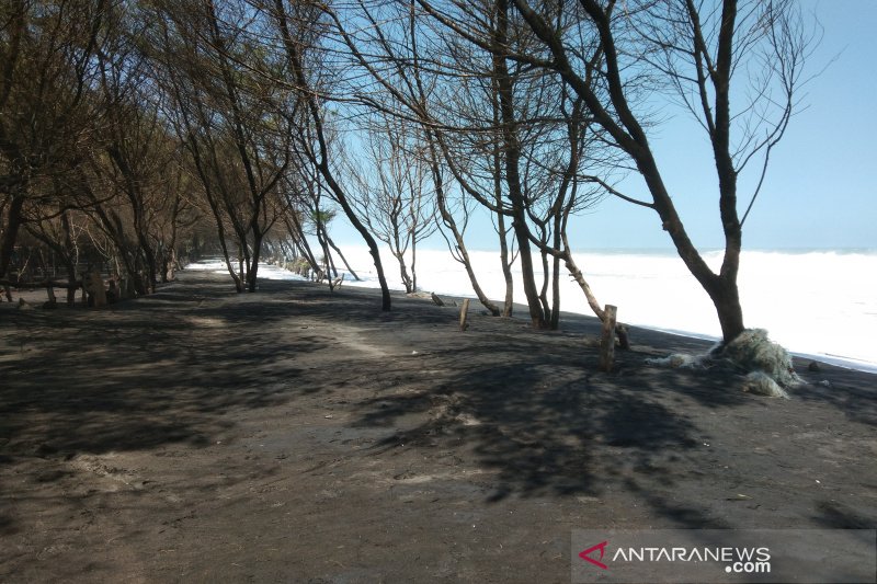 Wisatawan diingatkan untuk mewaspadai gelombang tinggi di pantai selatan