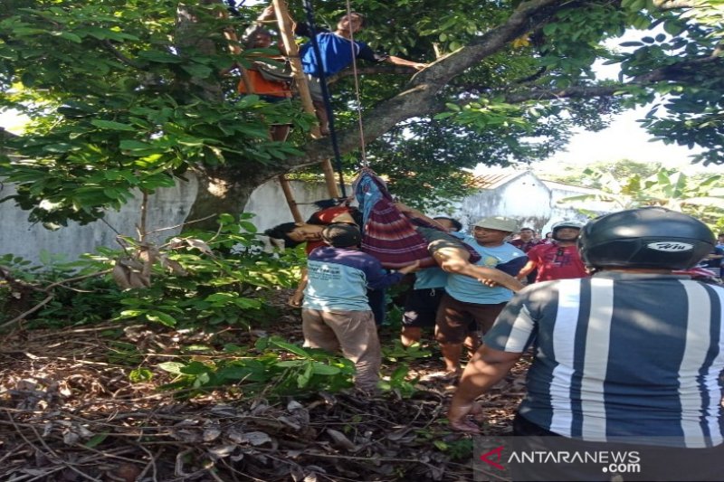 Pasang bendera 'Chalistha', Ketua Slemania tewas tersengat listrik