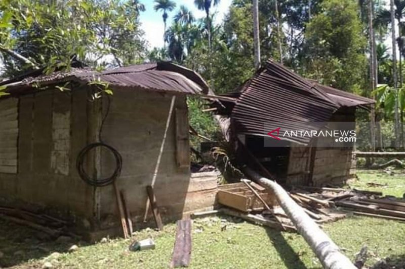 Gajah ngamuk merusak rumah warga di Nagan Raya Aceh