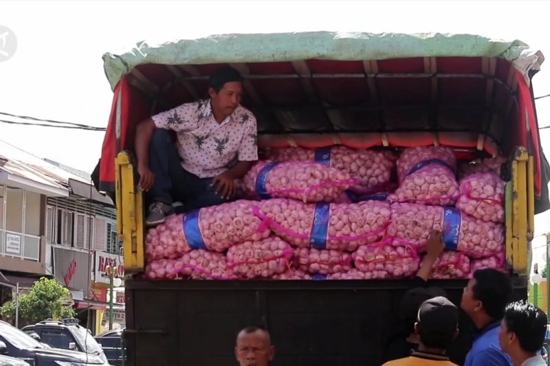 Bawang putih dan jengkol sumbang inflasi di Sumbar