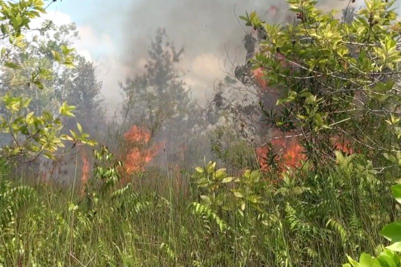 BPBD imbau warga Palangka Raya hentikan pembakaran lahan