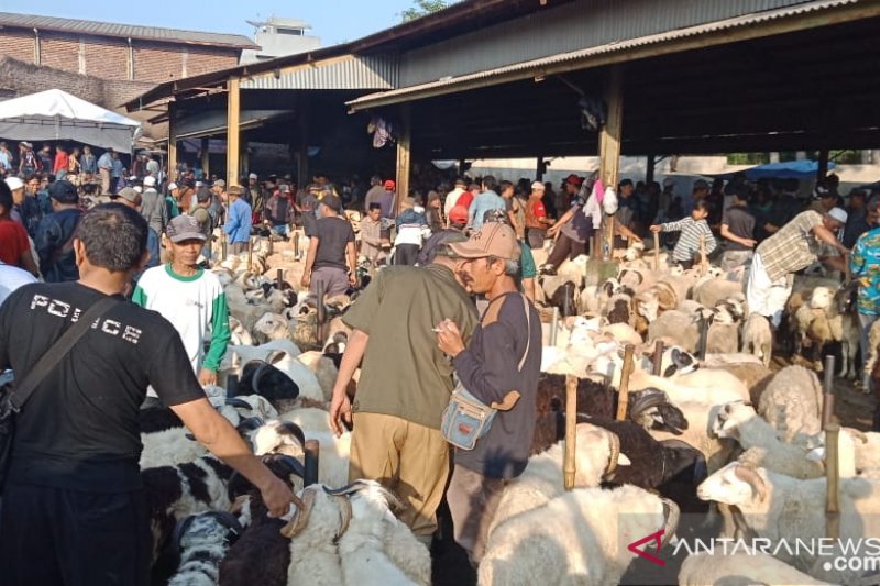 Pemkot Palembang imbau warga beli hewan kurban bersurat sehat