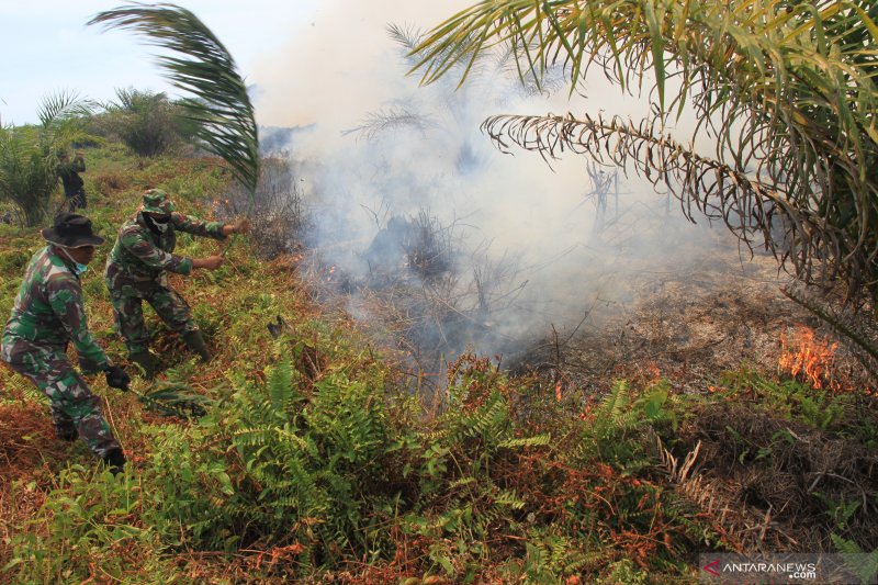 Kebakaran lahan gambut di Nagan Raya, Aceh