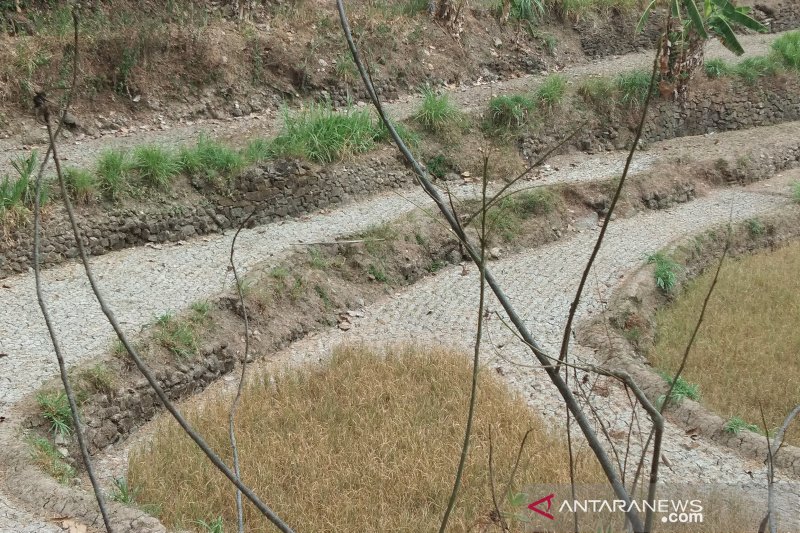 Pemkab: sawah kekeringan di lahan tidak beririgasi