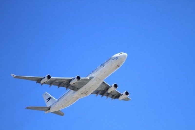 Pesawat Airbus mendarat keras setelah menabrak burung, 23 cedera