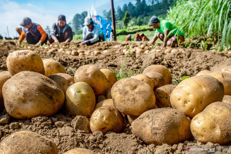 Bahayakan tubuh, Jangan makan bahan pangan mentah ini