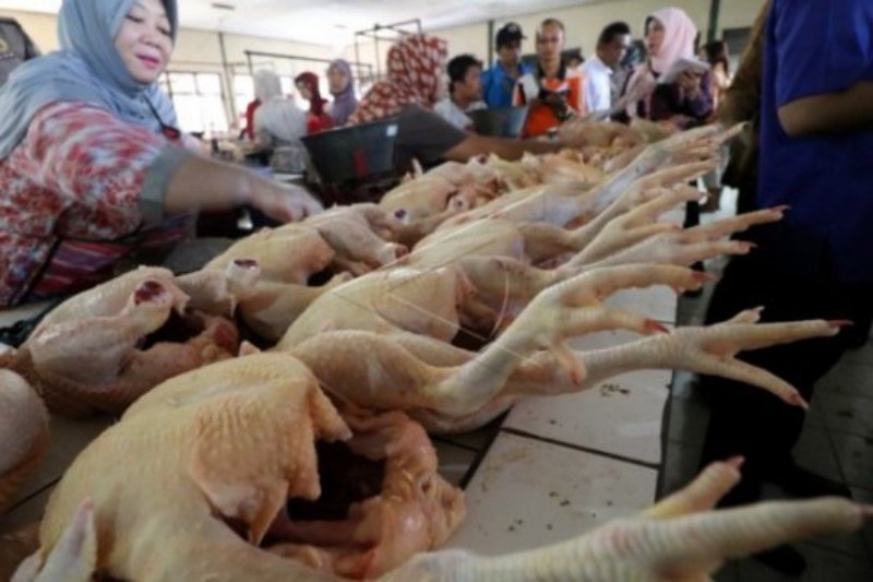Disperindag: harga daging ayam di Yogyakarta ideal