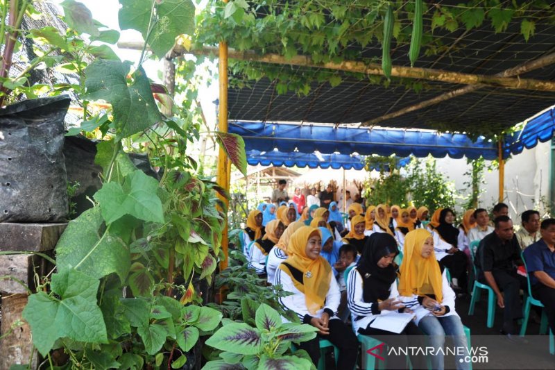 Pemprov NTB mengembangkan 192 kawasan rumah pangan lestari