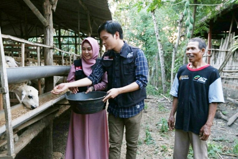 Kisah Anisa Rahma dan Dito urus kambing Global Qurban dari lumbung ternak