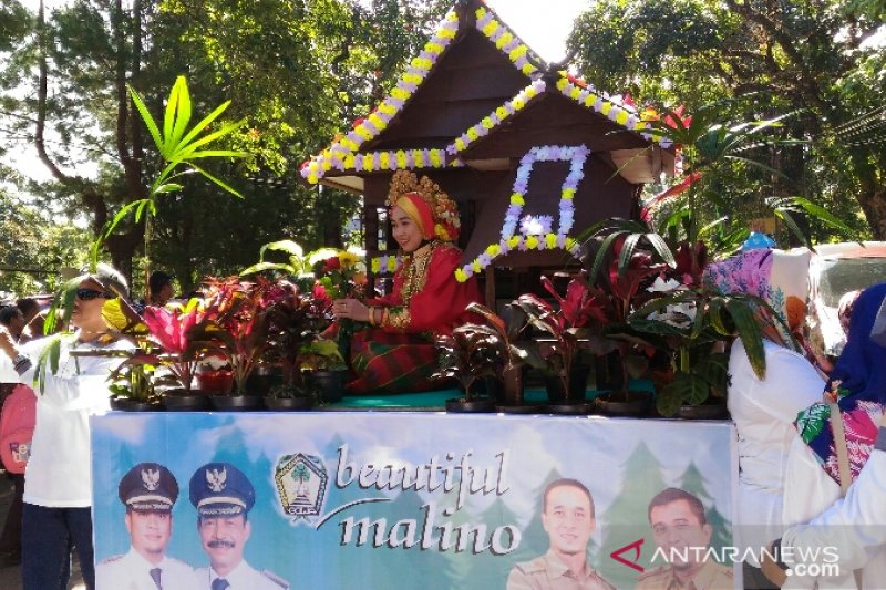 Mahasiswa dari 12 negara ikut parade bunga Beautiful Malino