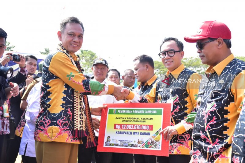 Pemprov Lampung bantu program pertanian perikanan Rp84 miliar ke kabupaten/kota