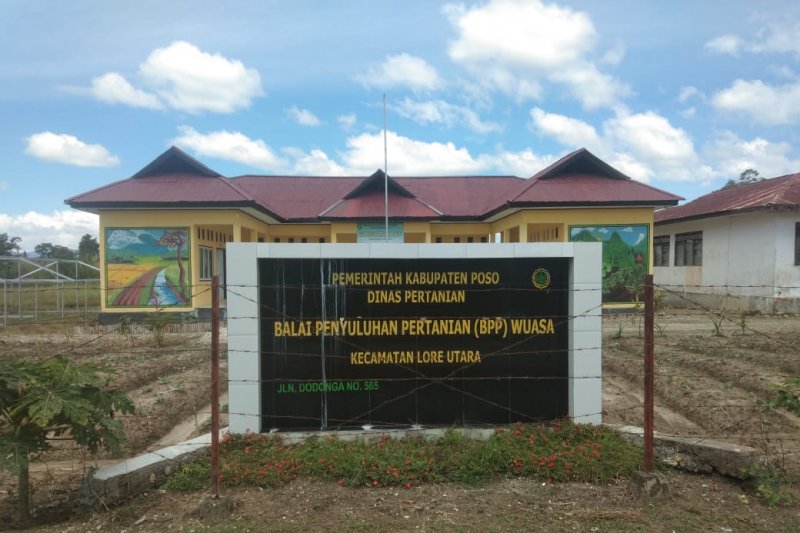 Petani Napu mengeluh kekurangan pupuk bersubsidi