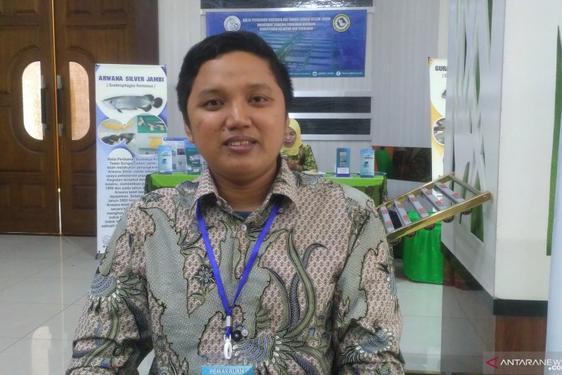 Sejumlah spesies ikan endemik Indonesia di ambang kepunahan