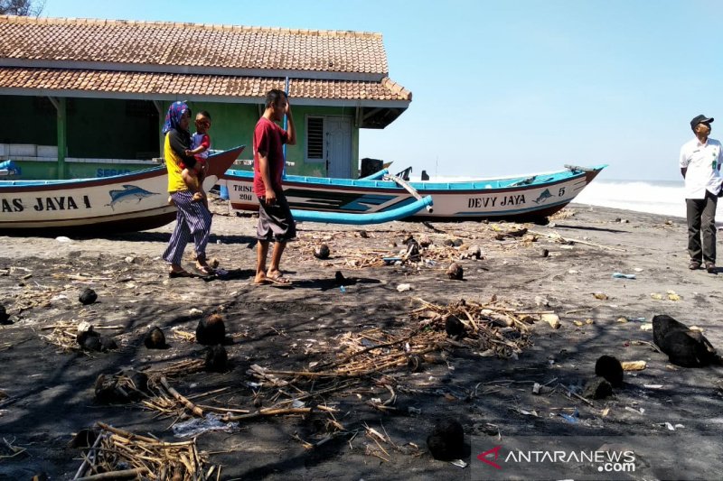 Pantai Trisik bakal dikembangkan sebagai kawasan konservasi penyu