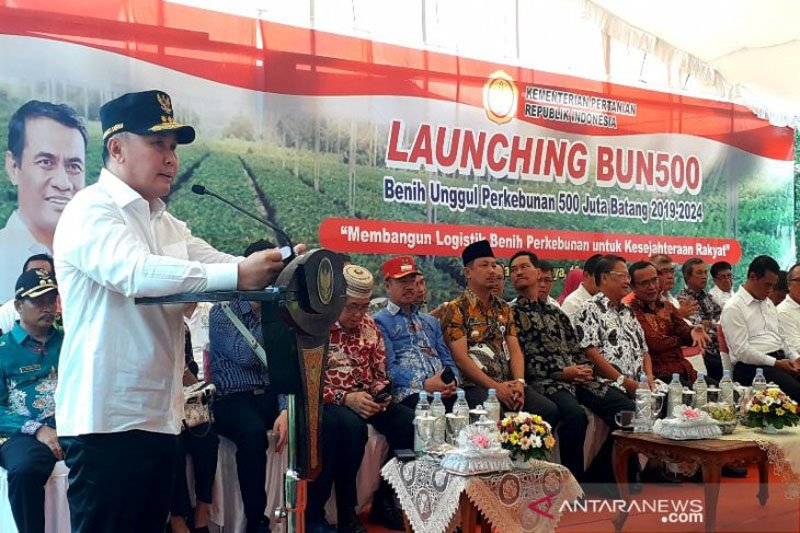 Gubernur: Program benih 500 juta batang di Kalteng sudah tepat