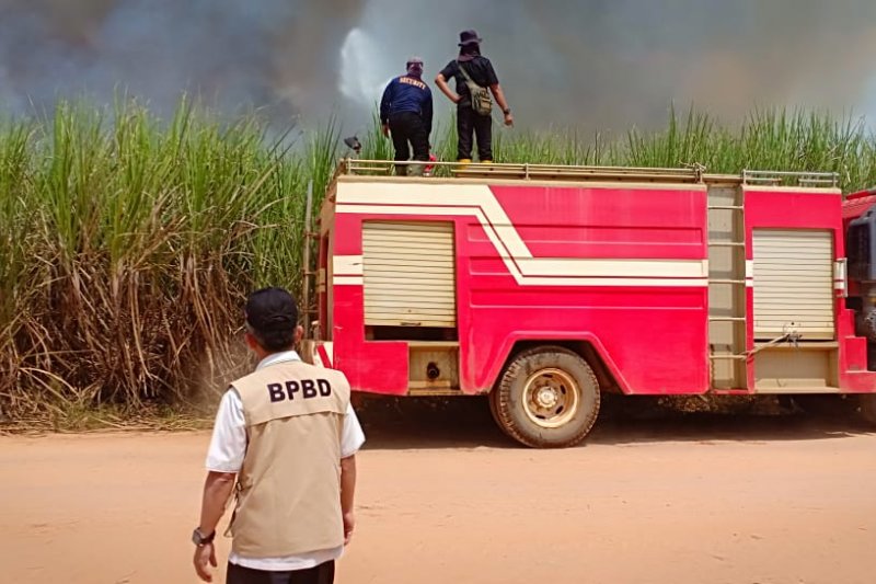 Lahan tebu PT LPI terbakar tiga kali dalam sebulan