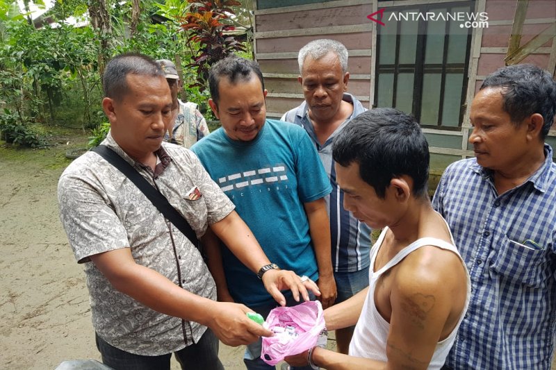 Polres Pasaman Barat tangkap pengedar ganja