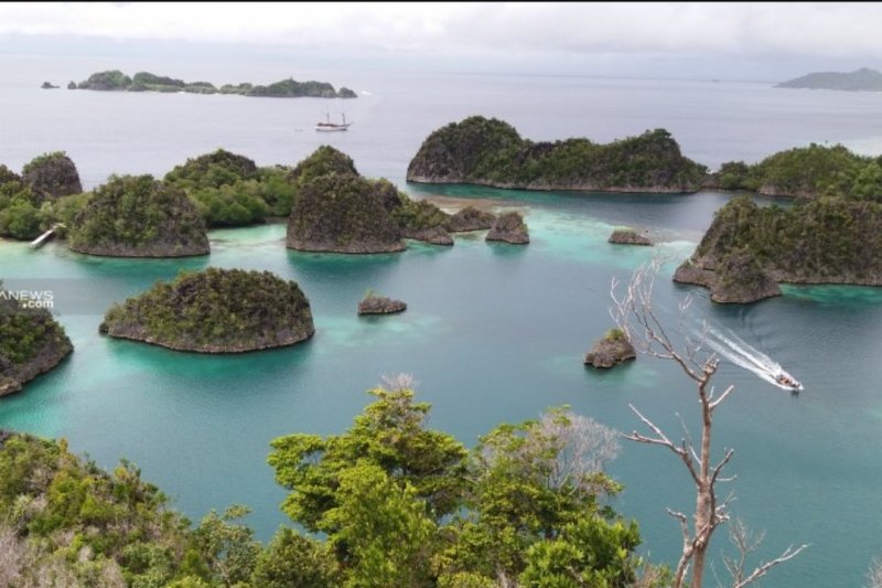 Wisatawan Asal Swiss Terjebak Di Hutan Raja Ampat Antara